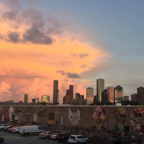 Art Wall: Houston Sky Line