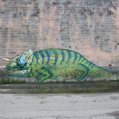 lizard graffiti