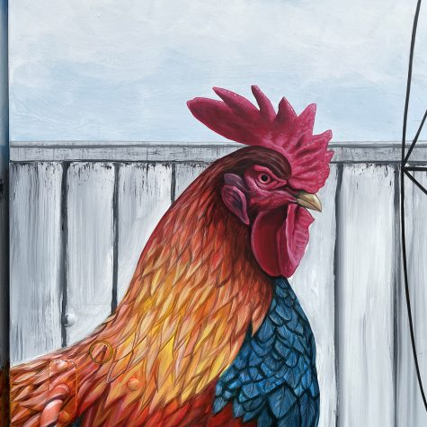 rooster_mural08-VincentFink