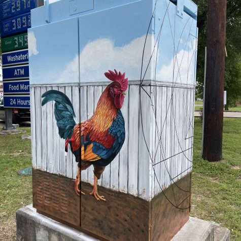 rooster_mural21-VincentFink