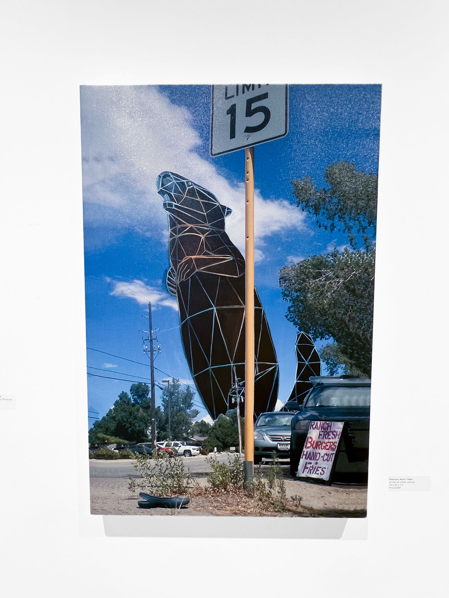 surreal beaver painting, colorado